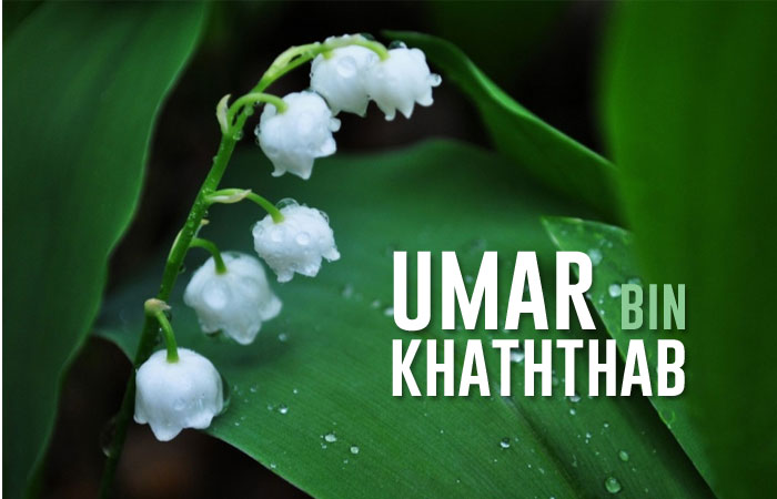 Umar bin khattab