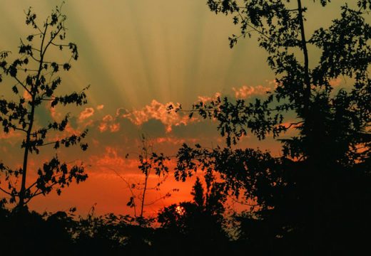 Mengapa Allah Mengkhususkan Dzikir di Pagi dan Petang Hari?