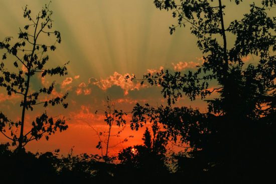 Mengapa Allah Mengkhususkan Dzikir di Pagi dan Petang Hari?