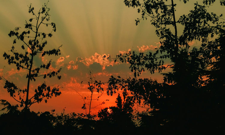 dzikir pagi dan petang