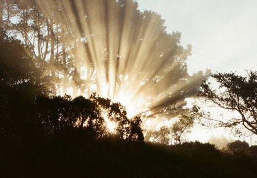 Tolong-Menolong dalam Islam