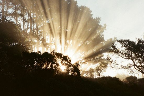 Tolong-Menolong dalam Islam