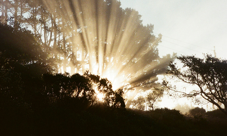 Tolong menolong dalam islam