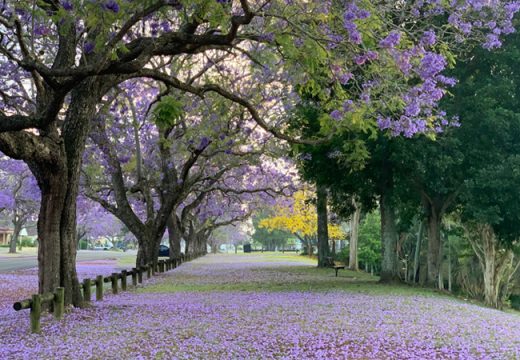 Apa Sikap Seorang Muslim terhadap Perbedaan dalam Masalah Aqidah?