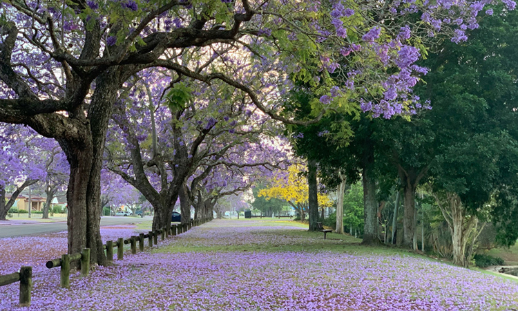 Perbedaan dalam Masalah Aqidah