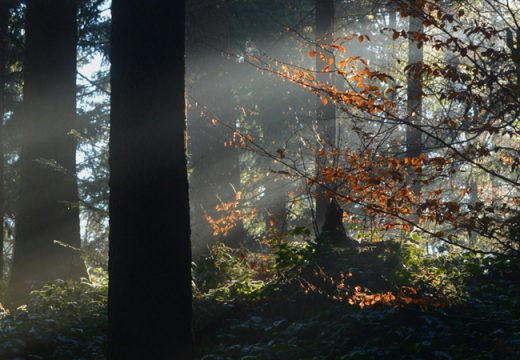 Nama Allah Al Fattah